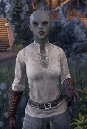 Файл:ON-npc-Overseer Shiralas.jpg