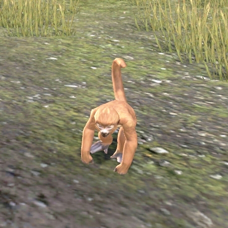 Файл:ON-pet-Imgakin Monkey.jpg