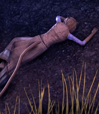 Файл:ON-quest-A Story Told in Footprints 01.jpg