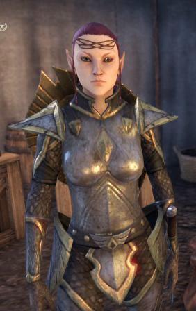 Файл:ON-npc-Officer Parwinel.jpg