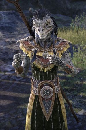 Файл:ON-npc-Naheesh Nurwul.jpg