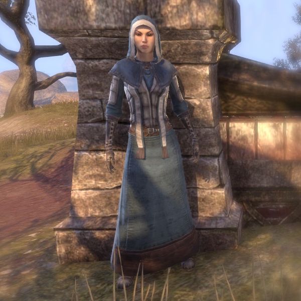 Файл:ON-costume-Mages Guild Research Robes (Female).jpg
