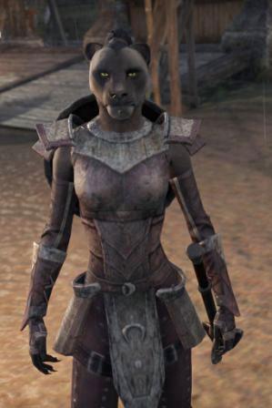 Файл:ON-npc-Lieutenant Kazargi.jpg