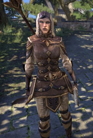 Файл:ON-npc-Captain Landare.jpg