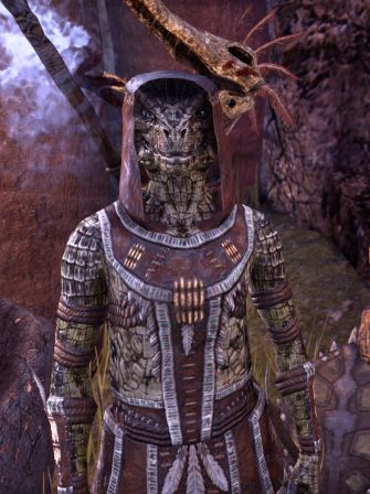 Файл:ON-npc-Elder Seven-Bellies.jpg