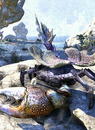 Файл:ON-card-Coral Mudcrab.png