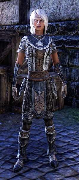 Файл:ON-item-Frostedge Bandit Disguise 01.jpg