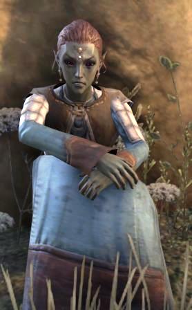 Файл:ON-npc-Dralane Elarven.jpg