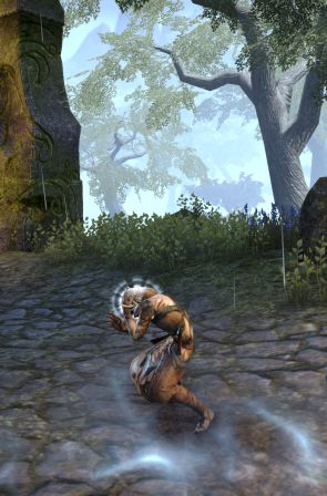 Файл:ON-quest-Restore the Silvenar 04.jpg