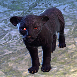 Файл:ON-pet-Striped Senche-Panther Cub.png