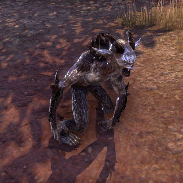 Файл:ON-pet-Stonefire Scamp.jpg