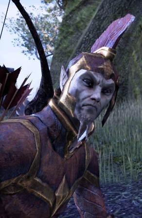 Файл:ON-npc-Vartis Dareel.jpg