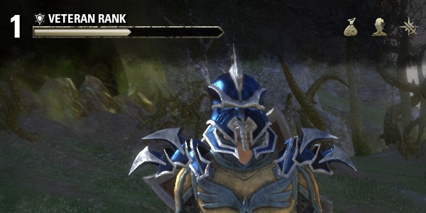 Файл:ON-misc-Veteran Points.jpg