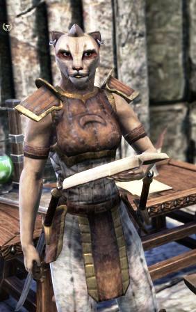 Файл:ON-npc-Captain Shideya.jpg