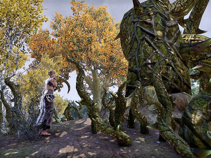 Файл:ON-quest-To the Wyrd Tree.jpg