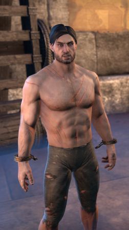 Файл:ON-npc-Adonatus Varian.jpg