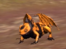 Файл:ON-pet-butterscotch dragon frog.jpg