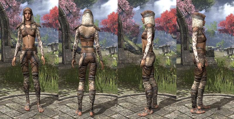 Файл:ON-item-armor-Homespun-Jerkin-Bosmer-Female.jpg