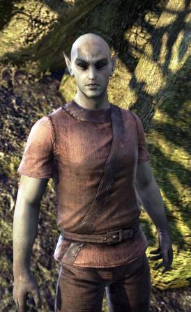 Файл:ON-npc-Apprentice Savur.jpg