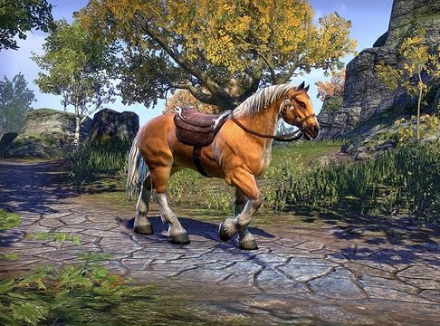 Файл:ON-mount-Palomino Horse.jpg