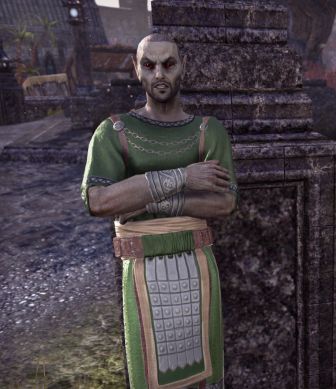 Файл:ON-npc-Naril Heleran.jpg