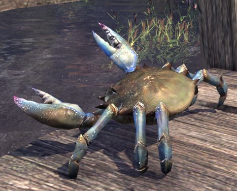 Файл:ON-misc-Iliac Bay Crab.jpg