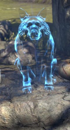 Файл:ON-npc-Shade of Ulthorn.jpg