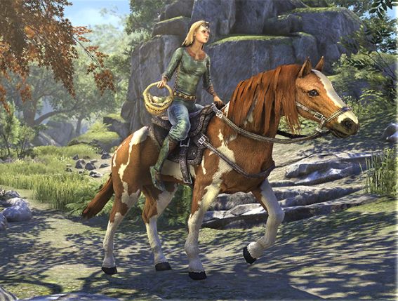 Файл:ON-mount-Egg Hunter's Horse.jpg