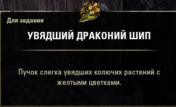 Файл:ON-quest-Empty Nest 05.jpg