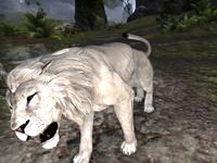 Файл:ON-quest-The Senche 02.jpg