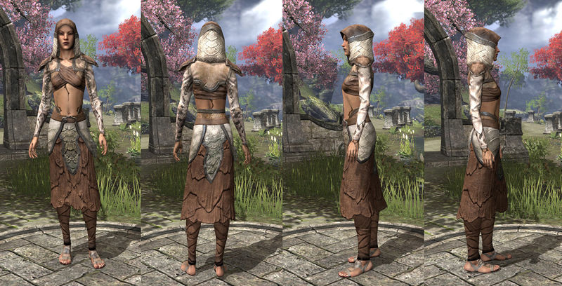 Файл:ON-item-armor-Homespun-Robe-Bosmer-Female.jpg