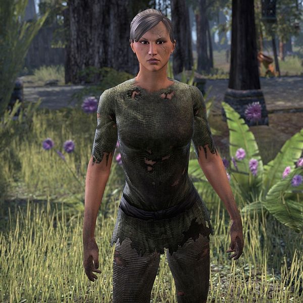 Файл:ON-npc-Dinia Sestius.jpg