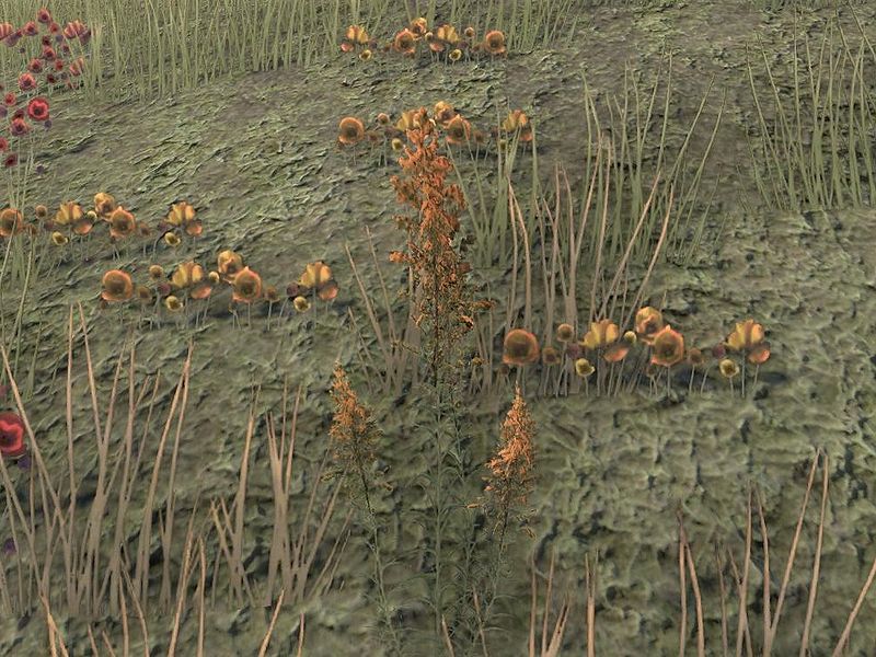 Файл:ON-node-Mountain Flower.jpg