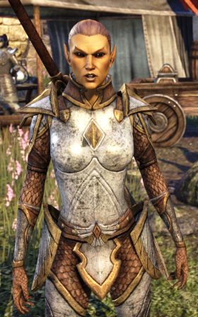 Файл:ON-npc-Watch Captain Astanya.jpg