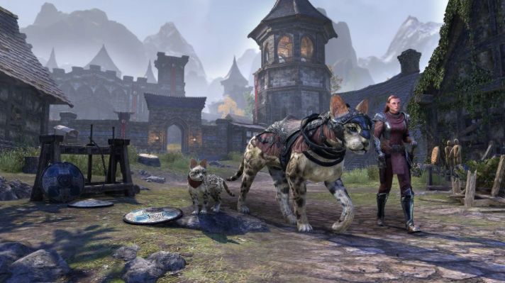 Файл:ON-misc-The Waking Flame Collector’s Bundle.jpg