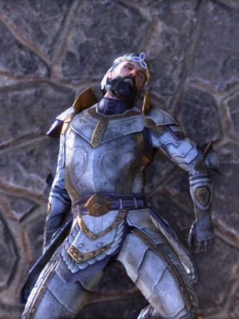 Файл:ON-npc-High King Emeric 21.jpg