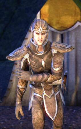 Файл:ON-npc-Scout Ruluril.jpg