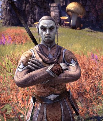 Файл:ON-npc-Valdam Andoren 01.jpg