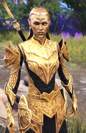 Файл:ON-npc-High Priest Eraamine.jpg
