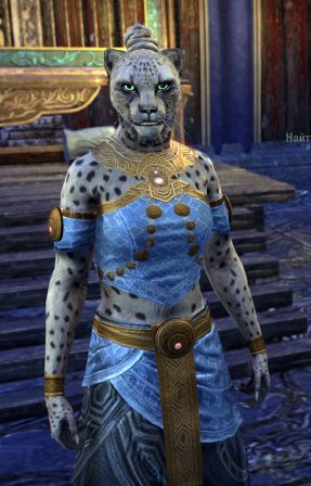 Файл:ON-npc-Bebbia Sleek-Fur.jpg