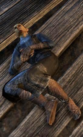 Файл:ON-npc-Nelulin 01.jpg