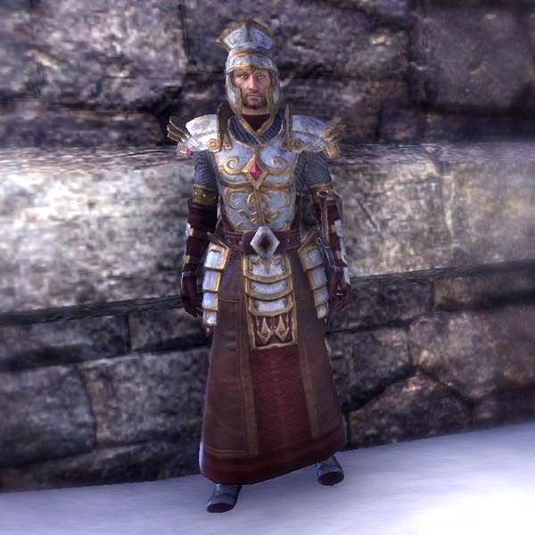 Файл:ON-costume-Battlemage Palatine Armor (Male).jpg