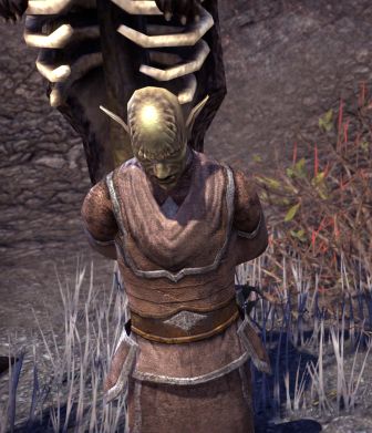 Файл:ON-npc-Dithis Romori 01.jpg