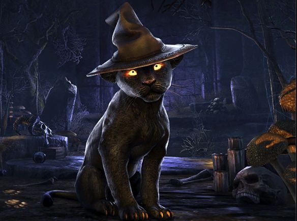 Файл:ON-pet-Witch's Infernal Familiar.jpg