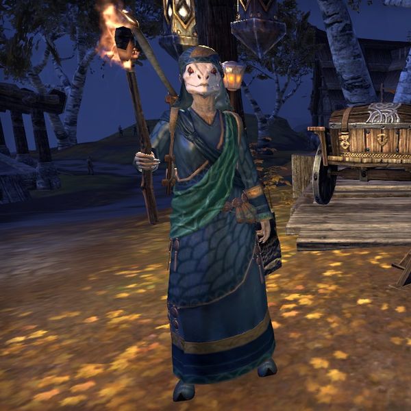 Файл:ON-costume-Traveling Merchant (female).jpg