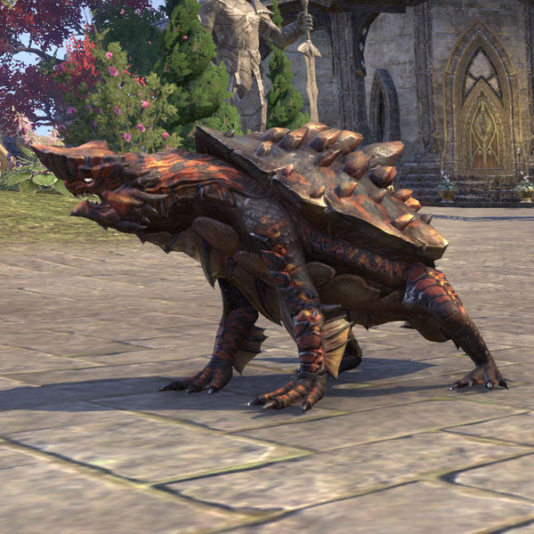 Файл:ON-pet-Haj Mota Hatchling.jpg