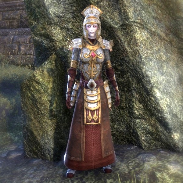 Файл:ON-costume-Battlemage Palatine Armor (Female).jpg