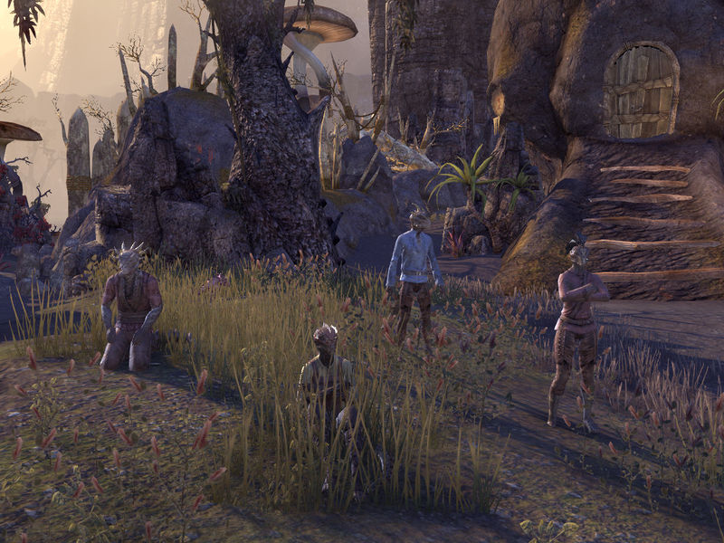 Файл:ON-quest-Salt of the Earth.jpg