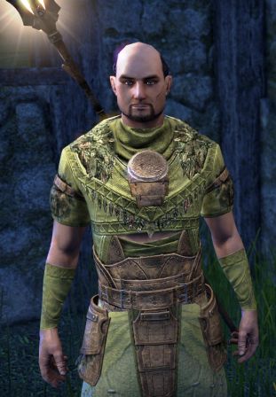 Файл:ON-npc-Druid Farel.jpg