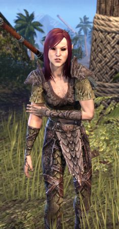 Файл:ON-npc-Sergeant Firion.jpg